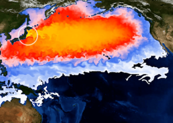 【大漠专栏】日核废水排放“毒害”海洋 政府无作为暗藏食安隐忧