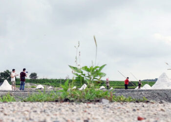 光影间穿梭 解码两岸文化根脉