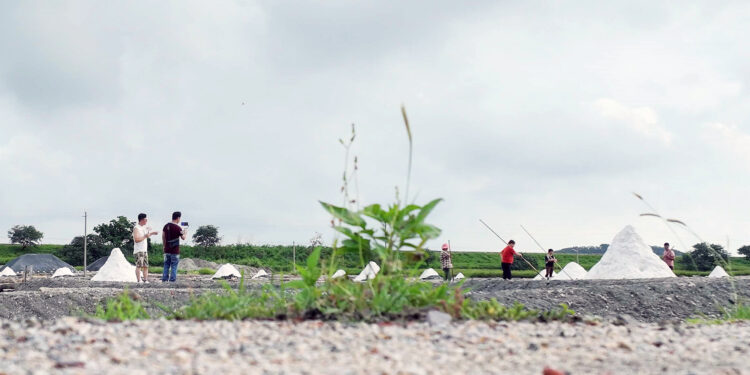 光影间穿梭 解码两岸文化根脉