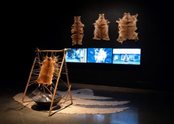 南岛国际美术奖_郭悦旸作品