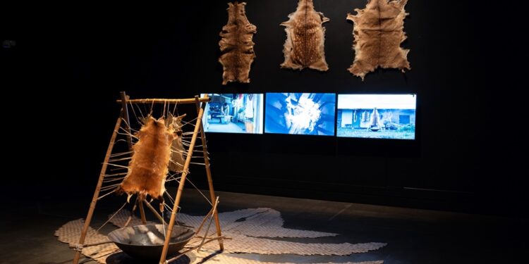 南岛国际美术奖_郭悦旸作品