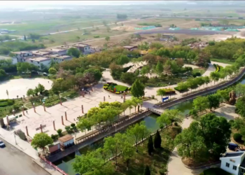 葛沽古镇焕新颜 「印象葛沽」引领津南新发展