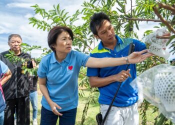 台东饶庆铃县长勘灾　呼吁中央支持协助康芮强风豪雨重创农渔业农民