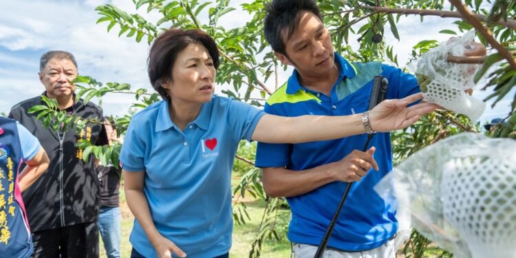 台东饶庆铃县长勘灾　呼吁中央支持协助康芮强风豪雨重创农渔业农民