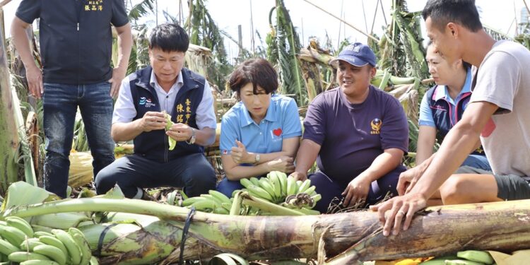 陈铭风市长和县长饶庆铃、立委黄建宾、议长吴秀华…等，前往受灾农地，了解风灾对农作物造成的损害