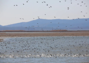 天津红桥西北角　品味历史厚重感　感受邻里人情味