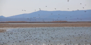 天津红桥西北角 品味历史厚重感 感受邻里人情味