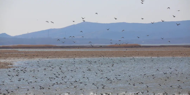 天津红桥西北角 品味历史厚重感 感受邻里人情味