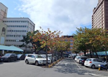 台东县政府自1月25日(六)起至连假结束，将开放第一停车场(县政府后方停车场)及第二停车场(县长公馆旁停车场)，让民众免费停车